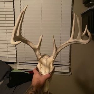 Meet your Posher, Dustin